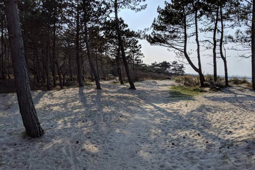 Foto von Ferienhaus IJ52 in Hornbæk - Nordseeland