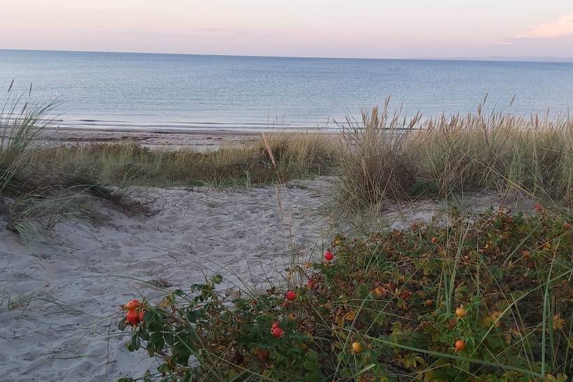 Foto von Ferienhaus IJ52 in Hornbæk - Nordseeland