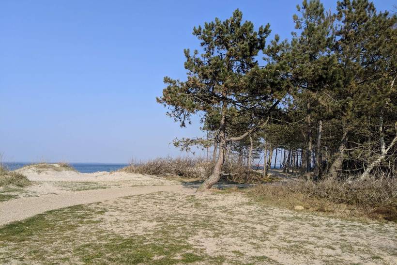 Foto von Ferienhaus IJ52 in Hornbæk - Nordseeland