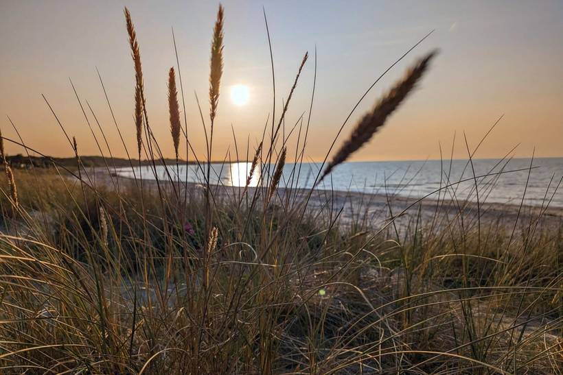 Foto von Ferienhaus IJ52 in Hornbæk - Nordseeland