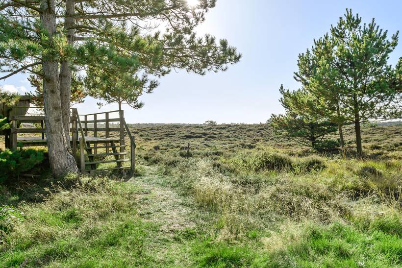 Foto von Ferienhaus IK00 in Kongsmark - Rømø