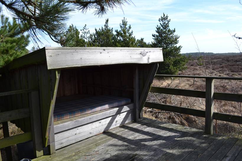 Foto von Ferienhaus IK00 in Kongsmark - Rømø
