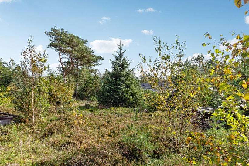 Foto von Ferienhaus IK14 in Thorup - Nordjütland