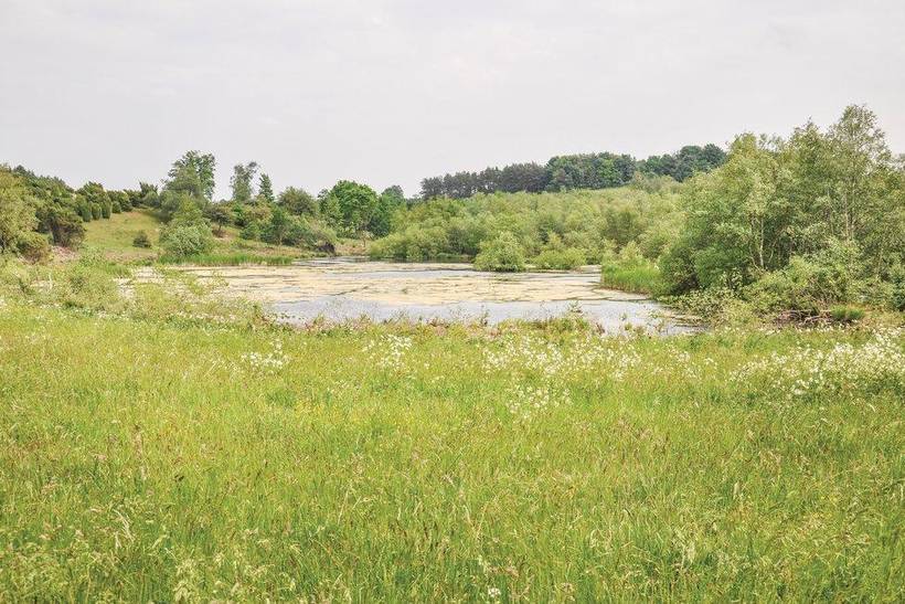 Foto von Ferienhaus IK41 auf Håstrup - Südfünen