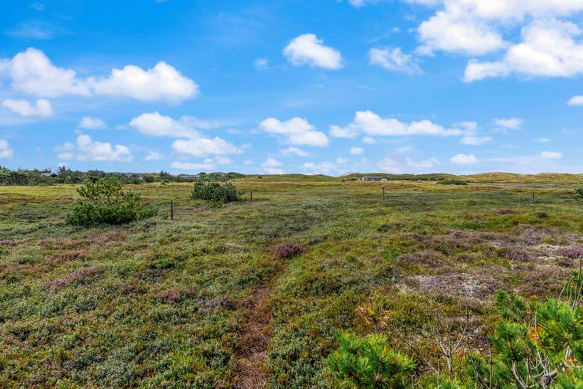 Foto von Ferienhaus IL33 in Bjerregård - Westjütland