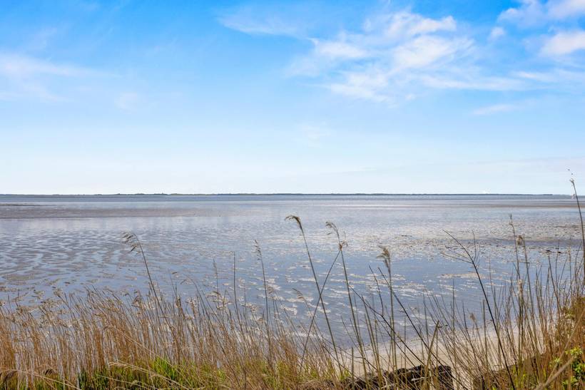 Foto von Ferienhaus IL36 in Kromose - Rømø