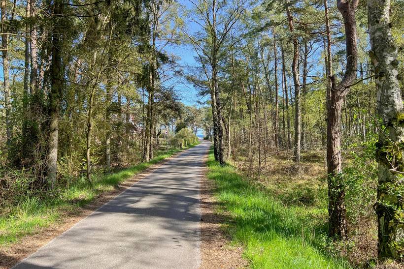 Foto von Ferienhaus IL39 in Dueodde - Bornholm