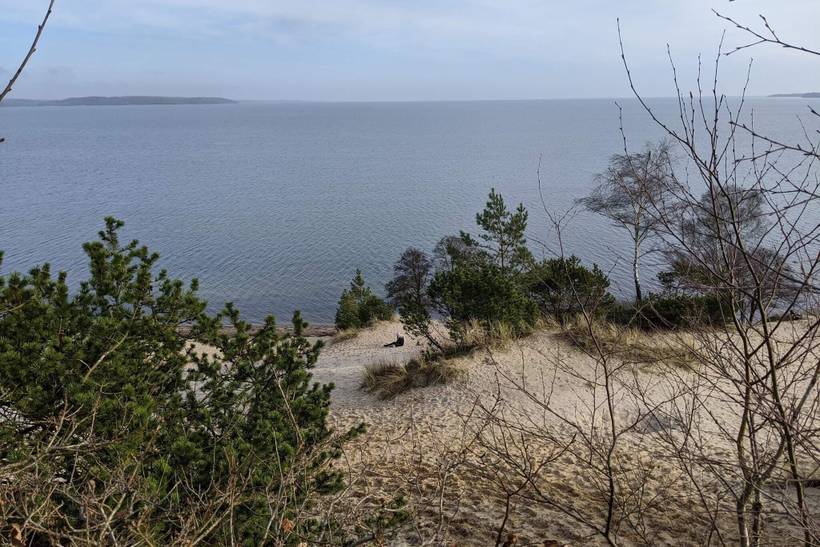 Foto von Ferienhaus IL40 in Høll - Hvidbjerg - Ostjütland