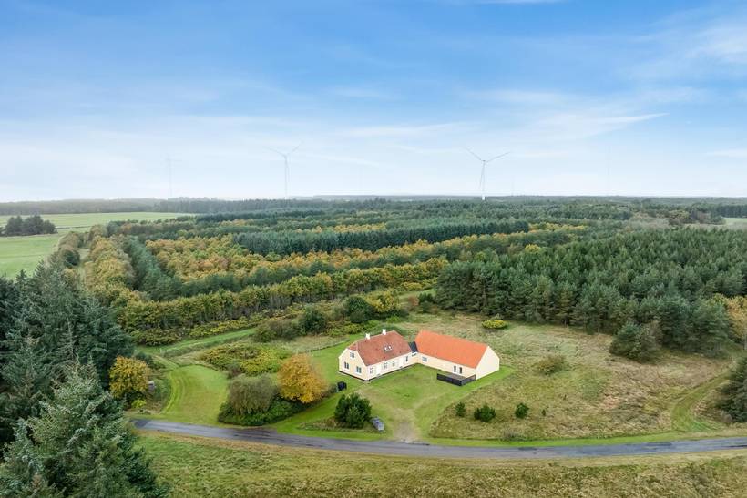 Foto von Ferienhaus IM22 in Lild - Thy/Limfjord