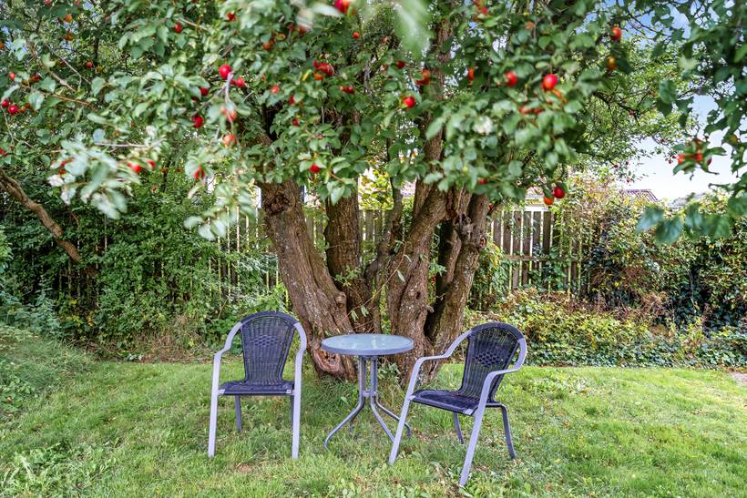 Foto von Ferienhaus IM35 in Løkken - Nordjütland