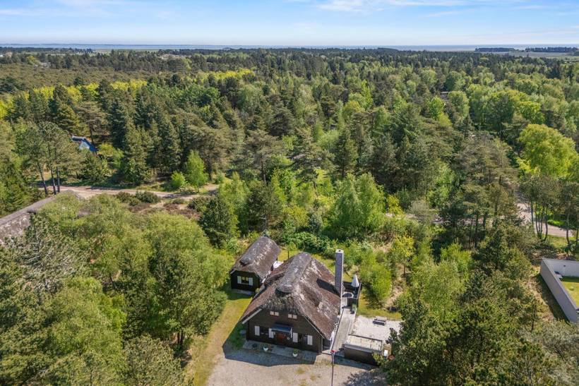 Foto von Ferienhaus IM55 in Sønderstrand - Rømø