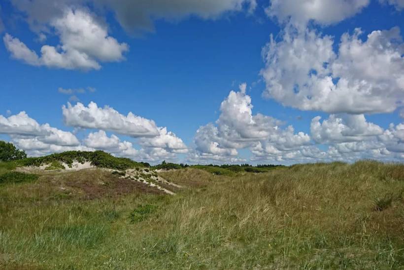 Foto von Ferienhaus IN27 in Hou - Nordjütland Ost