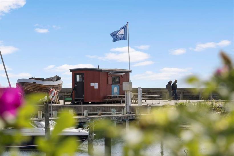 Foto von Ferienhaus IN30 in Vesterløkken - Samsø
