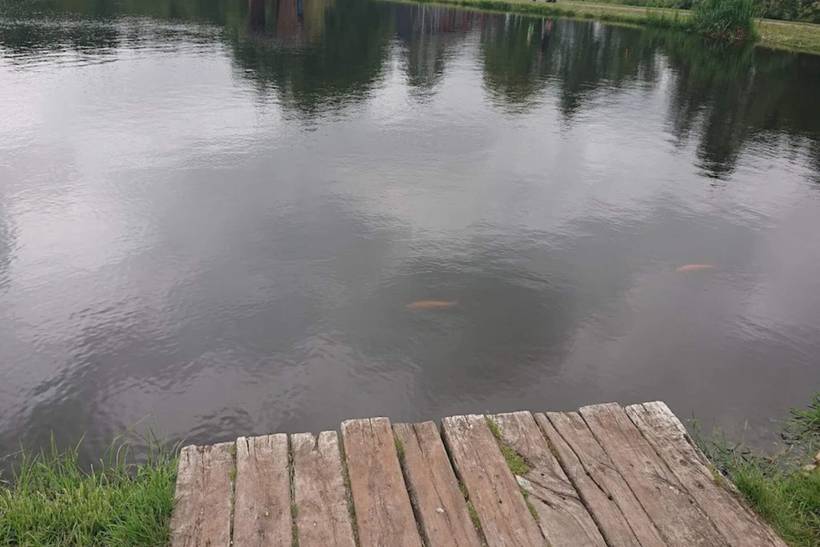 Foto von Ferienhaus IO52 in Hovborg - Westjütland