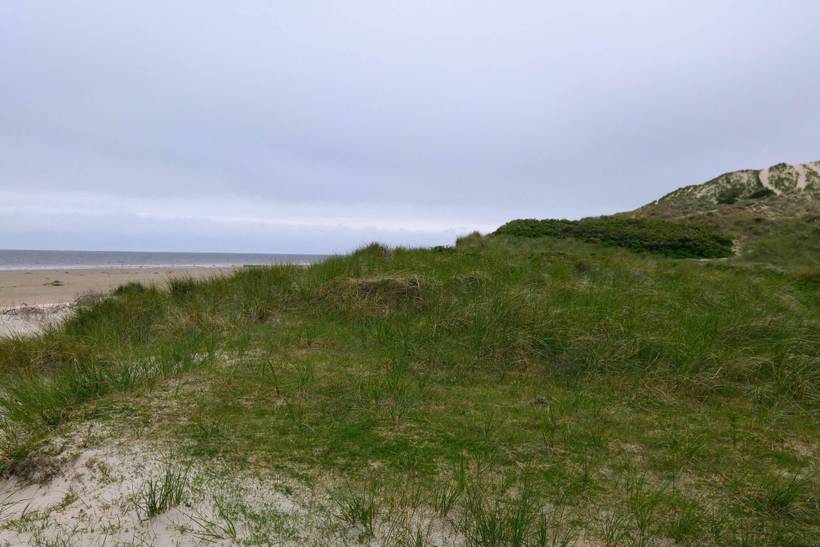Foto von Ferienhaus IO67 in Sønderho - Fanø