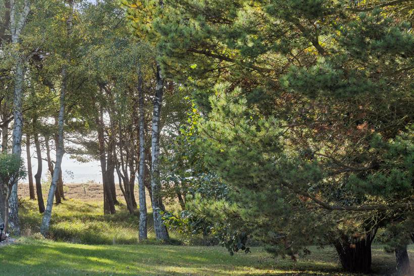 Foto von Ferienhaus IO91 in Sjællands Odde - Westseeland