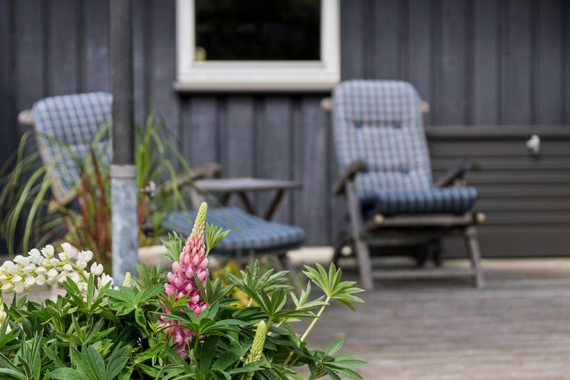 Foto von Ferienhaus IO91 in Sjællands Odde - Westseeland