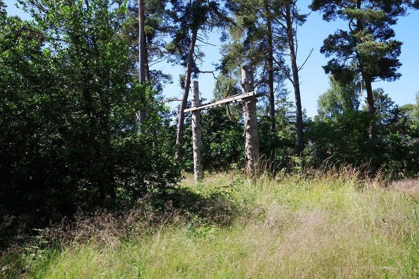 Foto von Ferienhaus IP16 in Nordstrand - Rørvig - Westseeland