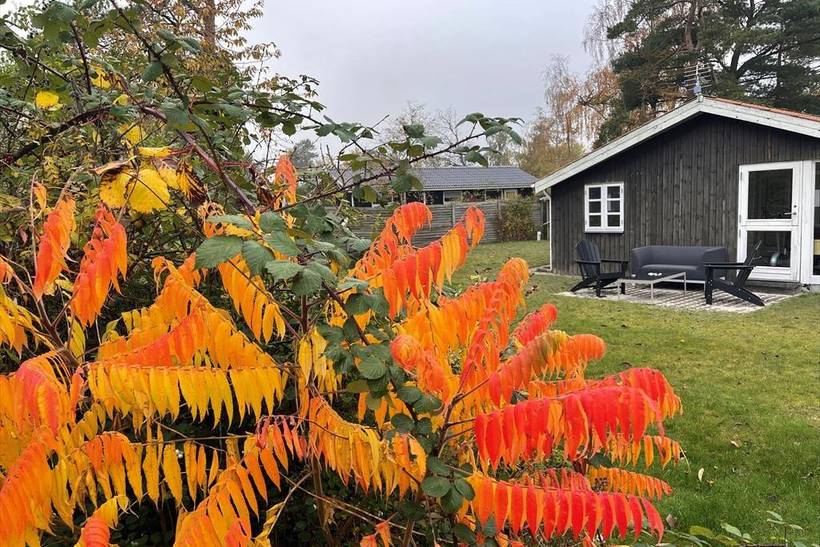 Foto von Ferienhaus IP22 in Saksild - Odder - Ostjütland