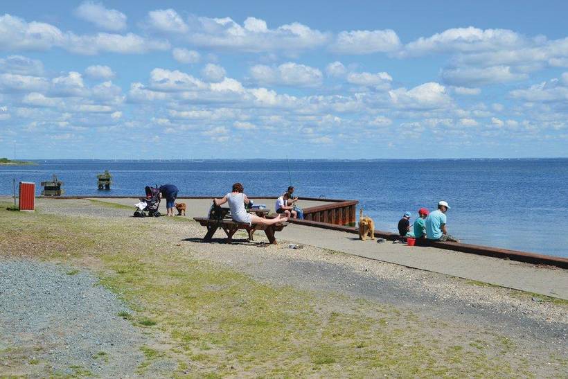 Foto von Ferienhaus IQ13 in Nr. Lyngvig - Hvide Sande - Westjütland