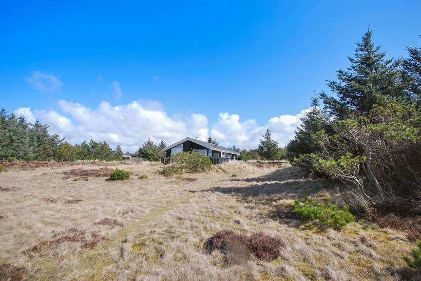 Foto von Ferienhaus IQ44 in Lodbjerg Hede - Søndervig - Westjütland