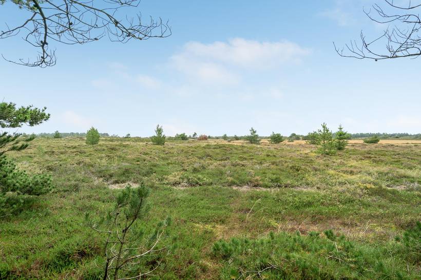 Foto von Ferienhaus IR27 in Bolilmark - Rømø