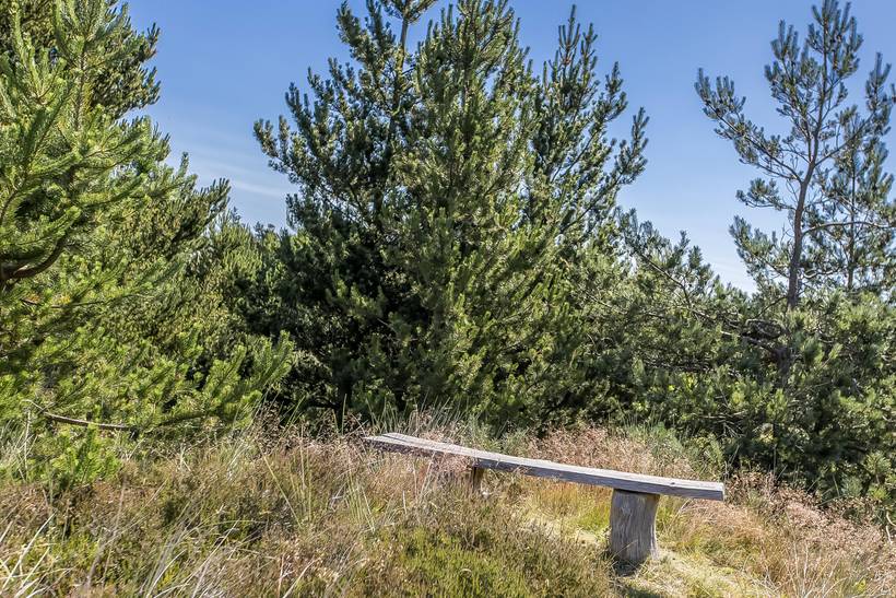 Foto von Ferienhaus IR28 in Bolilmark - Rømø