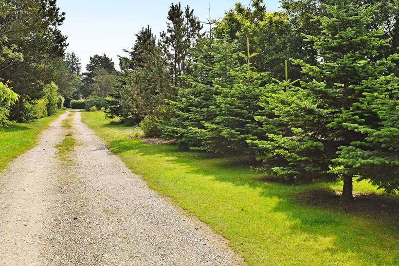 Foto von Ferienhaus IS16 in Nørhede - Fjand - Westjütland