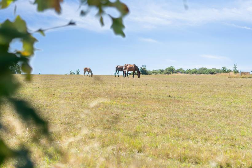 Foto von Ferienhaus IS28 auf Aakirkeby - Bornholm