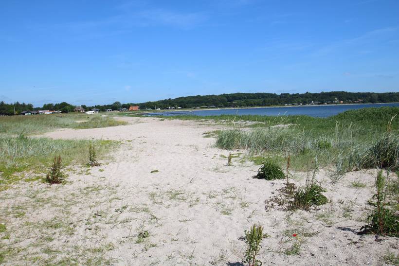 Foto von Ferienhaus IS84 in Diernæs - Südjütland