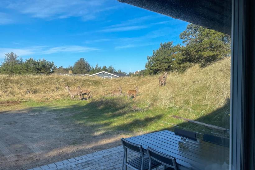 Foto von Ferienhaus IT11 in Vejers Strand - Westjütland