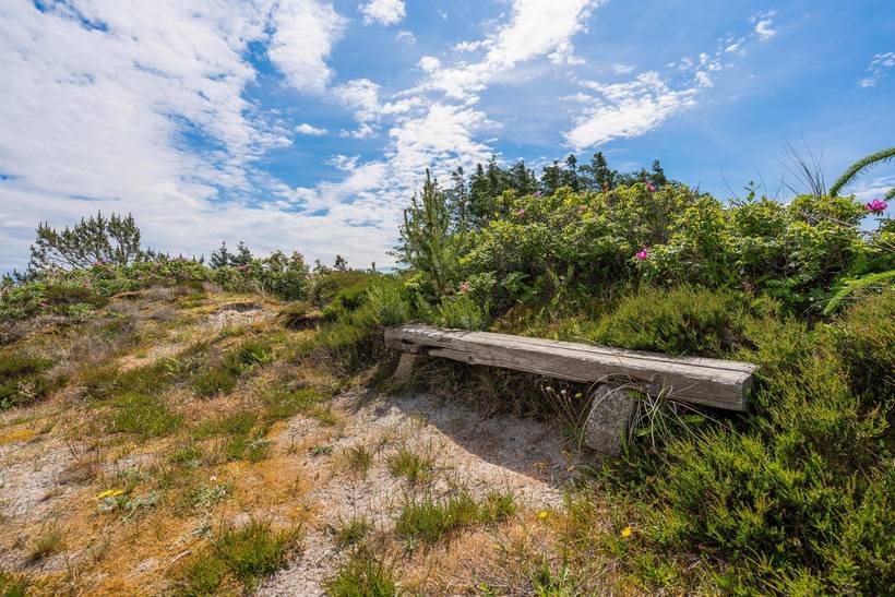 Foto von Ferienhaus IT40 in Henne Strand - Westjütland