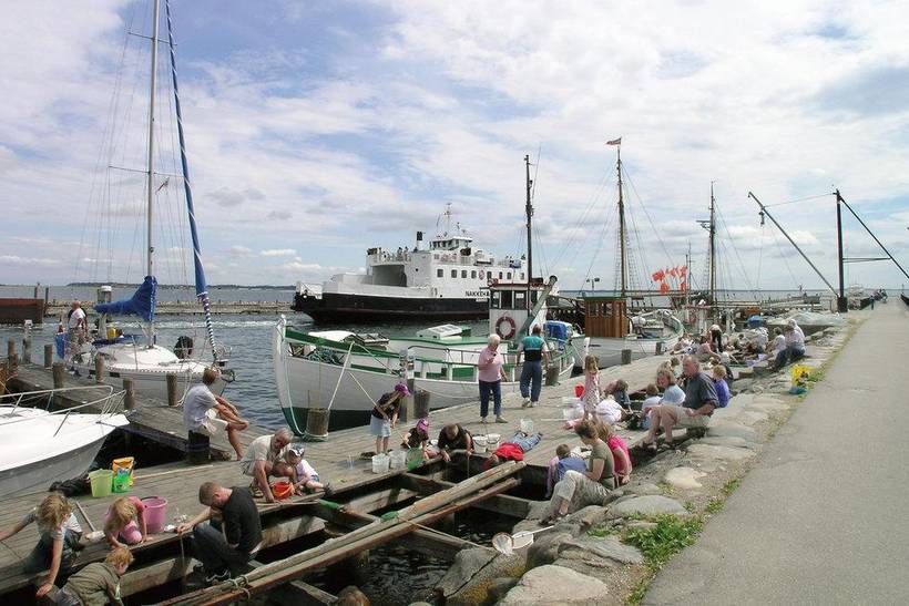 Foto von Ferienhaus IT63 in Rørvig - Westseeland