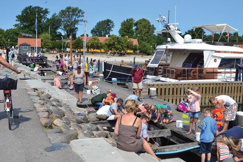 Foto von Ferienhaus IT63 in Rørvig - Westseeland