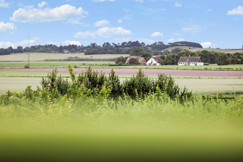 Foto von Ferienhaus IT81 in Mårup - Samsø