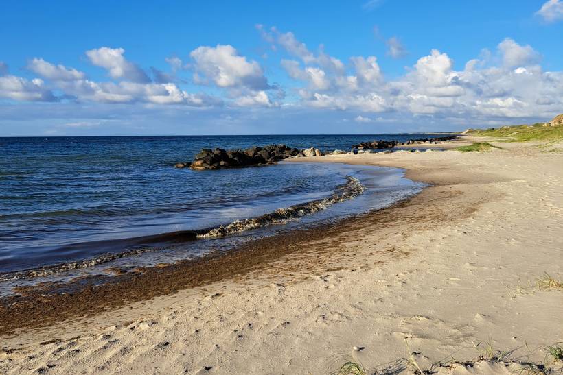Foto von Ferienhaus IT94 in Nordby - Skagen - Nordjütland