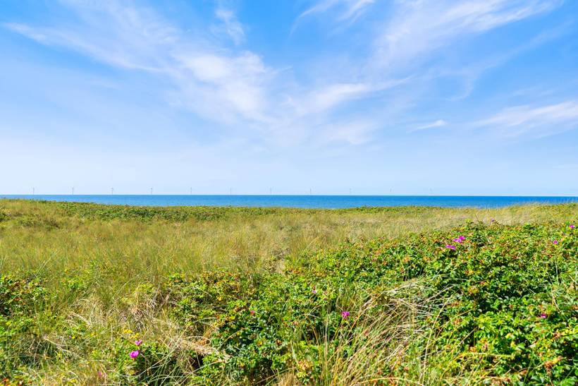 Foto von Ferienhaus IT97 in Søndervig - Westjütland