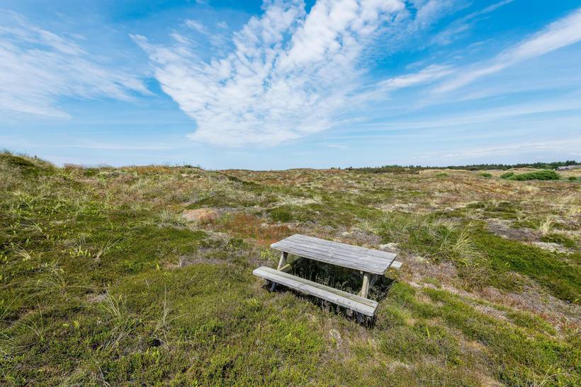 Foto von Ferienhaus IU85 in Bjerregård - Westjütland