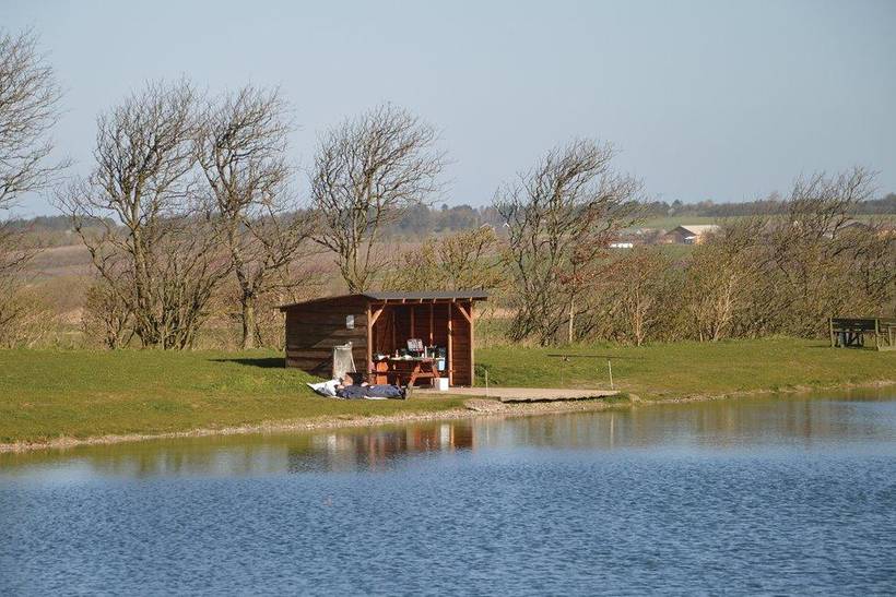 Foto von Ferienhaus IV71 in Trend - Thy/Limfjord