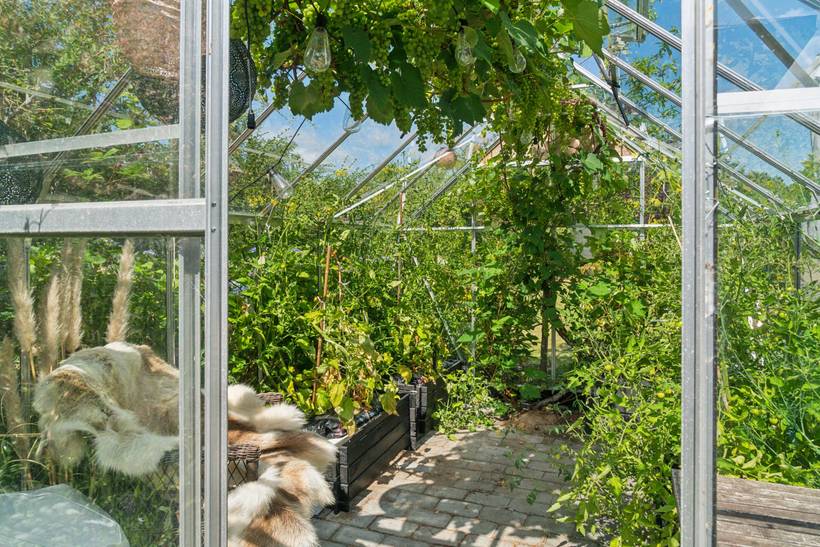 Foto von Ferienhaus IV75 in Sjællands Odde - Westseeland