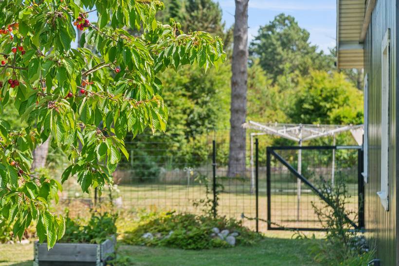 Foto von Ferienhaus IV75 in Sjællands Odde - Westseeland