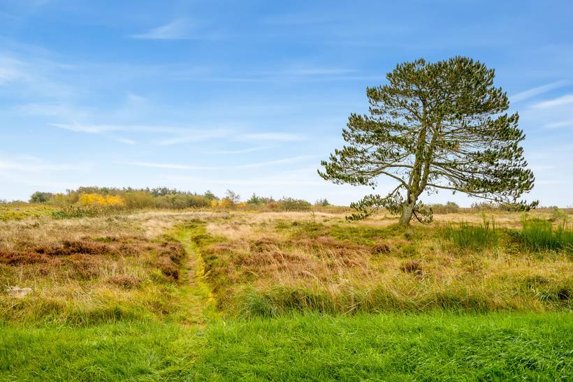 Foto von Ferienhaus IW44 in Hou - Nordjütland Ost