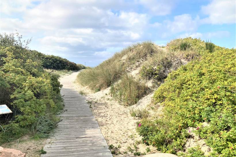Foto von Ferienhaus IW47 in Ristinge - Langeland