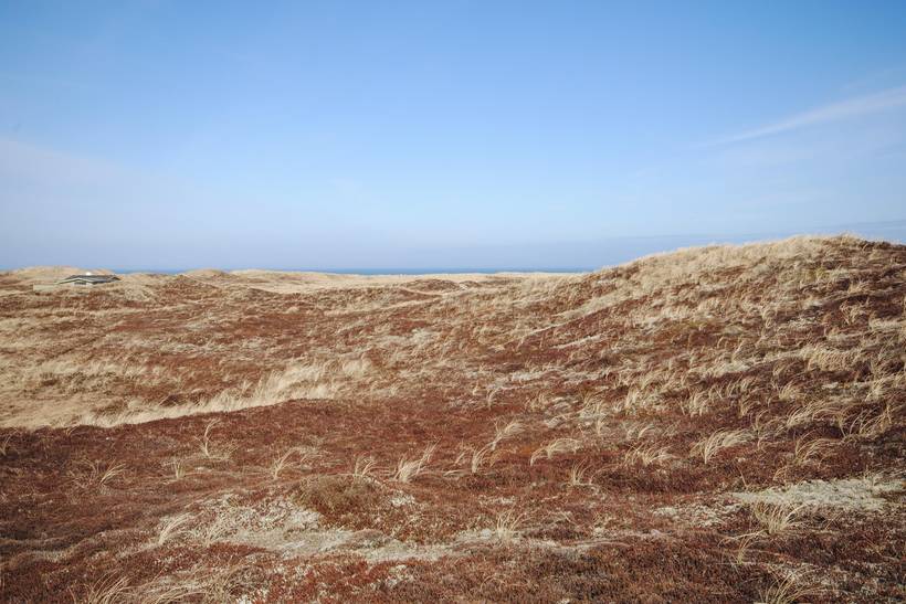 Foto von Ferienhaus IW82 in Klitmøller - Thy/Limfjord