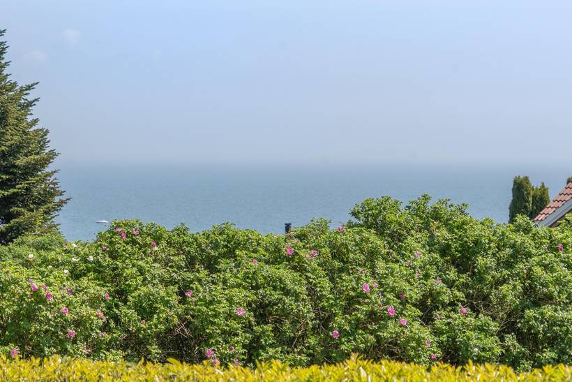 Foto von Ferienhaus IW84 in Mommark - Als