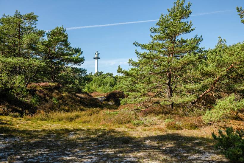 Foto von Ferienhaus IX40 in Dueodde - Bornholm