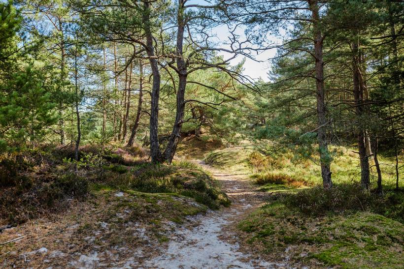 Foto von Ferienhaus IX40 in Dueodde - Bornholm