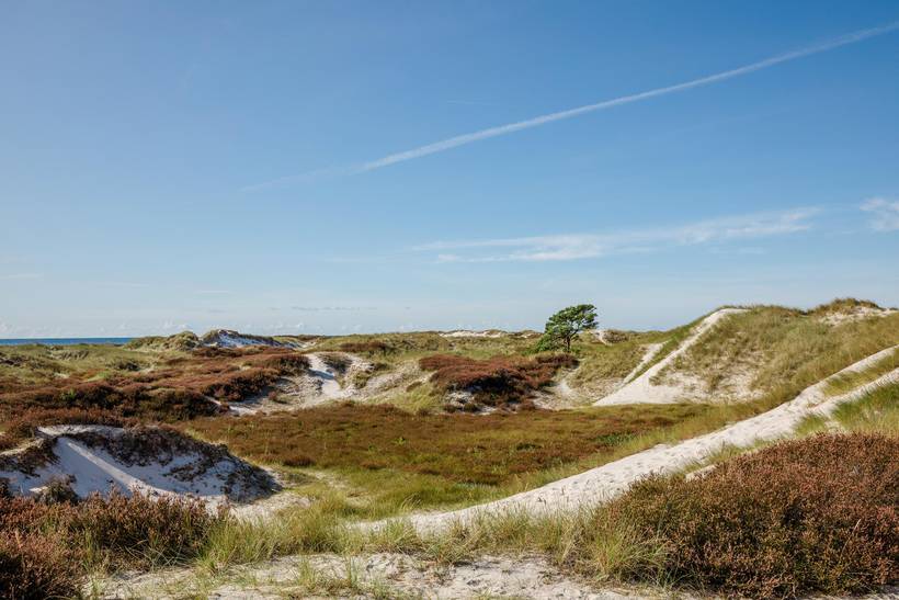 Foto von Ferienhaus IX40 in Dueodde - Bornholm