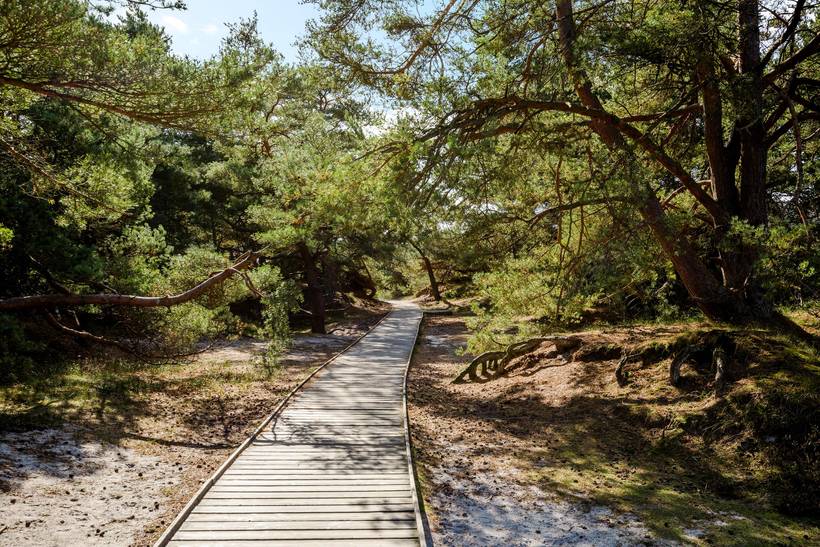 Foto von Ferienhaus IX40 in Dueodde - Bornholm