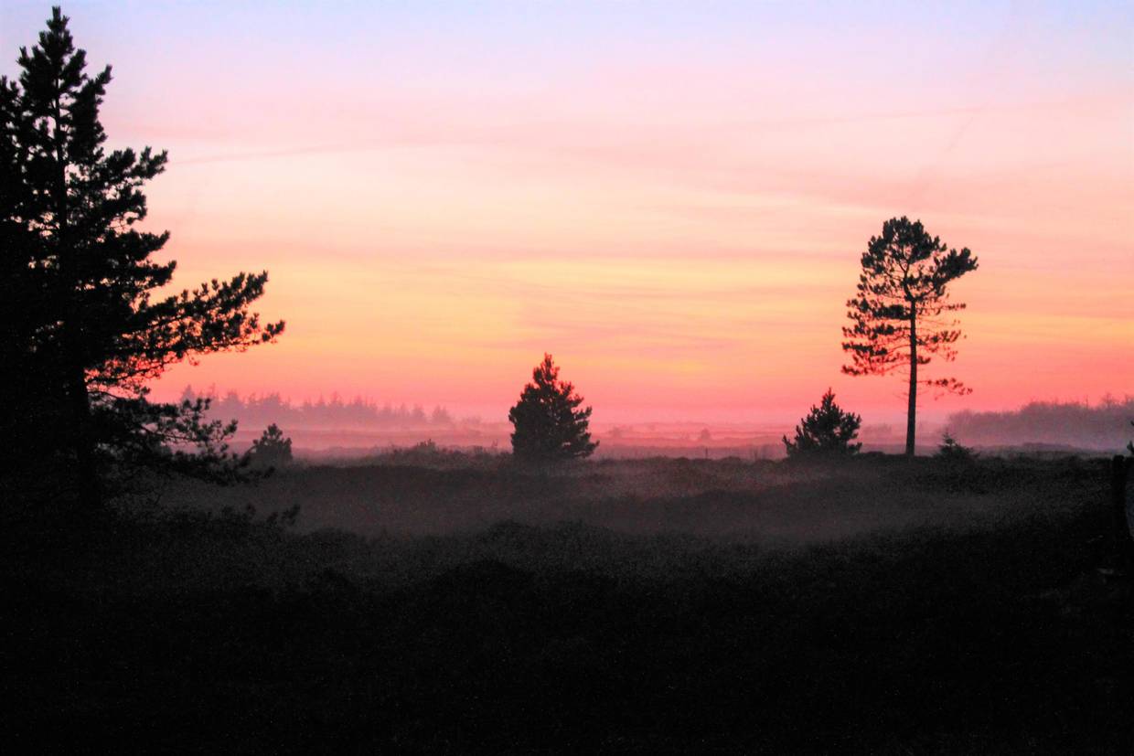 Foto von Ferienhaus IX91 in Kongsmark - Rømø